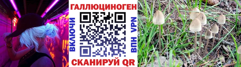 Псилоцибиновые грибы ЛСД Юхнов