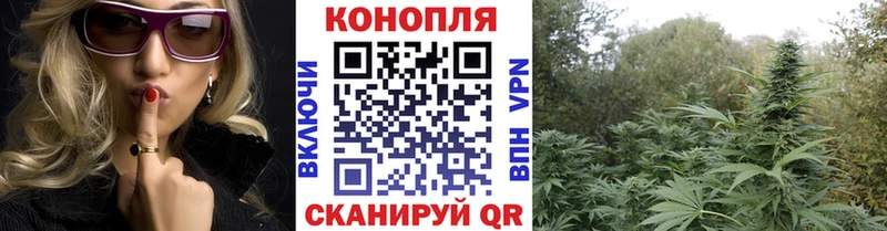 Бошки марихуана OG Kush  Юхнов 